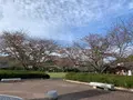 城山公園の写真_562770
