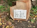 妙音院の写真_562783