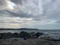 沖ノ島の写真_562792
