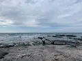 沖ノ島の写真_562793