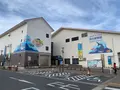 みなとオアシス“渚の駅”たてやまの写真_562795