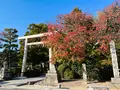木嶋坐天照御魂神社（蚕ノ社）の写真_563307