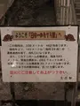 土合駅の写真_563743