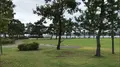 湯っ足りパークの写真_563922