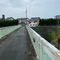 とこにゃんの写真_564308
