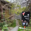 nuuの写真_564322