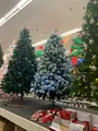 Kmart（Kマート）の写真_564478