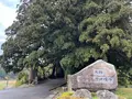 平泉寺白山神社の写真_564571