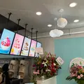 Ice Una Guamの写真_564617