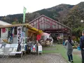 モネの池（名もなき池）の写真_564764