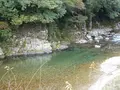 モネの池（名もなき池）の写真_564768