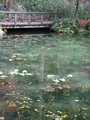 モネの池（名もなき池）の写真_564769
