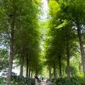 もりやま芦刈園の写真_564966