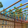 びわこ函館山663㎡の写真_565011