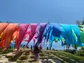 びわこ函館山663㎡の写真_565012