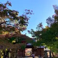 修禅寺の写真_565644
