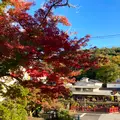 修禅寺の写真_565647