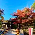 修禅寺の写真_565648
