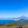 伊豆の国パノラマパークの写真_565653