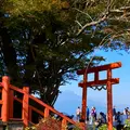 伊豆の国パノラマパークの写真_565662