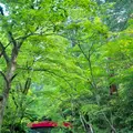小國神社の写真_566456