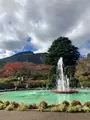 箱根強羅公園の写真_566470