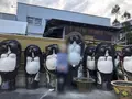 信楽陶芸村の写真_566486