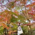 長寿寺の写真_567063