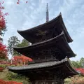 阿星山 常楽寺の写真_567071