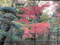 根津美術館の写真_567099