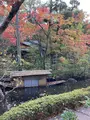 根津美術館の写真_567101