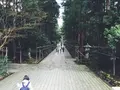 彌彦神社の写真_56770