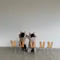 金沢21世紀美術館の写真_568938