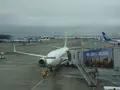 羽田空港国内線ターミナル駅の写真_569250