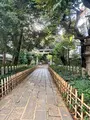 赤坂氷川神社の写真_569301