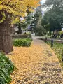 ミッドタウンガーデンの写真_569307