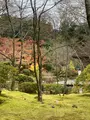 円通院の写真_569661