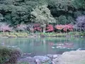 海地獄の写真_570192