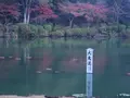 海地獄の写真_570194