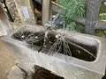 松林山 大圓寺（大円寺）（通称：大黒寺）の写真_570436