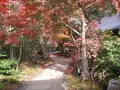 箱根湯寮の写真_570561