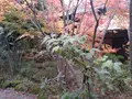箱根湯寮の写真_570569