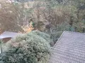 箱根湯寮の写真_570586