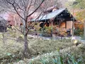 箱根湯寮の写真_570596