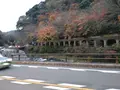 箱根湯寮の写真_570601
