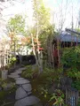 由布院 草庵秋桜の写真_571130