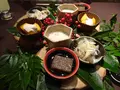 由布院 草庵秋桜の写真_571145