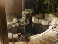 由布院 草庵秋桜の写真_571148