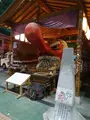 やよい天狗の写真_571287