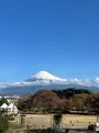 新富士駅の写真_571295
